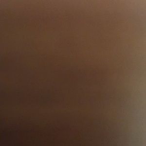 Meet your Posher, Aneilyah